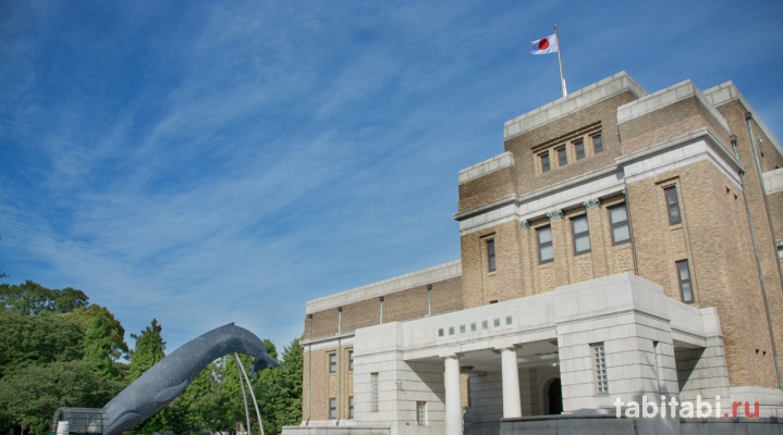 Национальный музей науки и природы