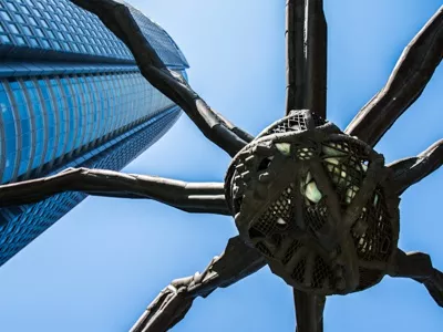 Самый родной паук Роппонги